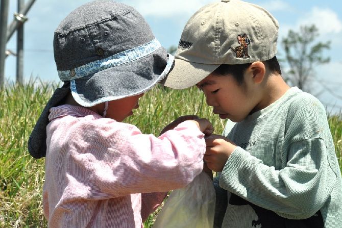 小諸幼稚園