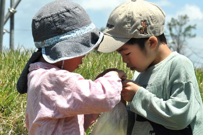 小諸幼稚園