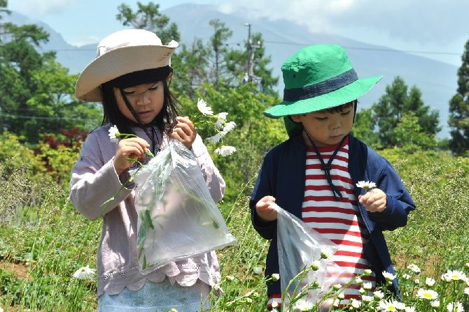 小諸幼稚園