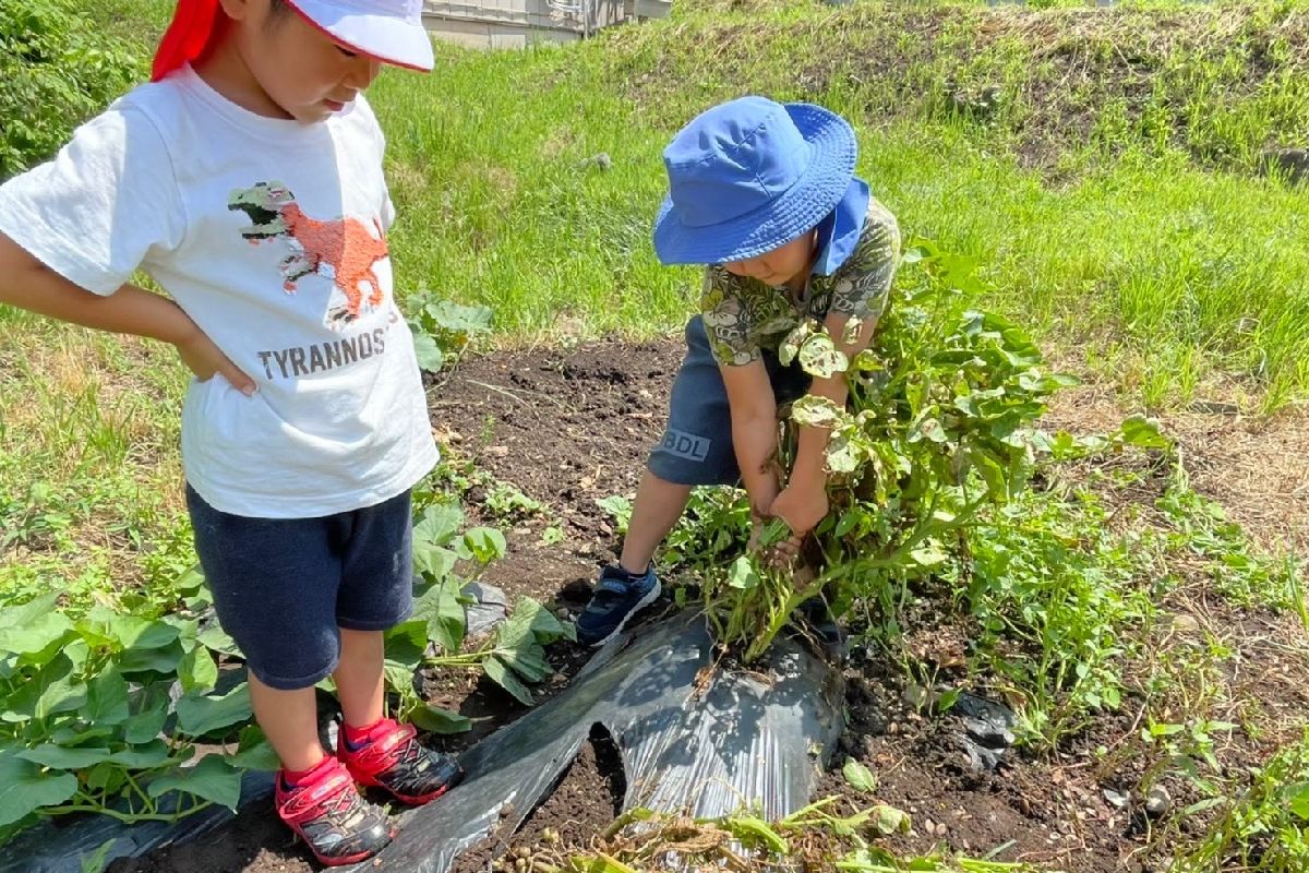 小諸幼稚園